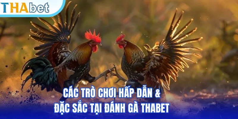 Các trò chơi hấp dẫn & đặc sắc tại đánh gà THABET