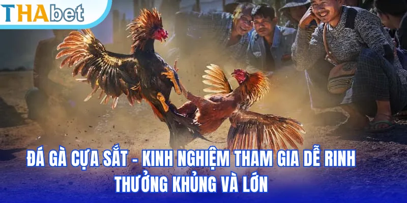Đá Gà Cựa Sắt - Kinh Nghiệm Tham Gia Dễ Rinh Thưởng Khủng Và Lớn