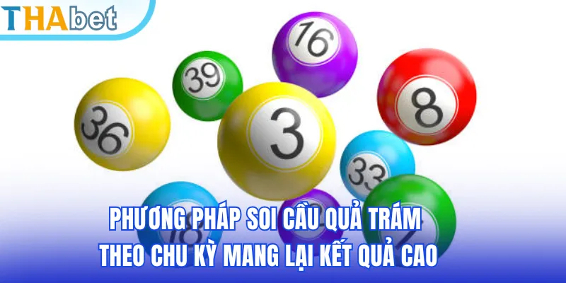 Phương pháp soi cầu quả trám theo chu kỳ mang lại kết quả cao